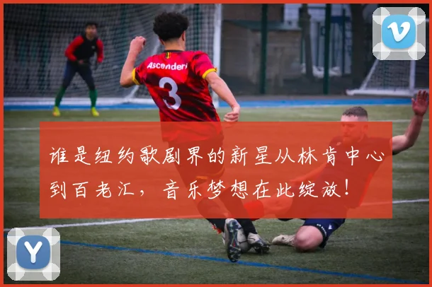 谁是纽约歌剧界的新星从林肯中心到百老汇，音乐梦想在此绽放！
